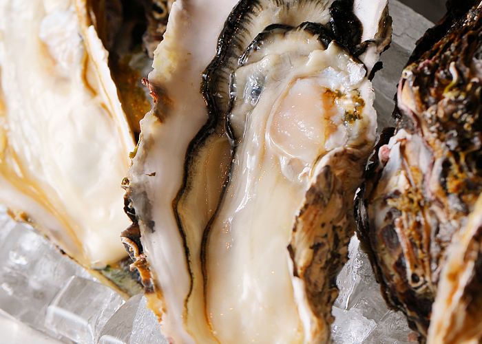 晴れの日コース